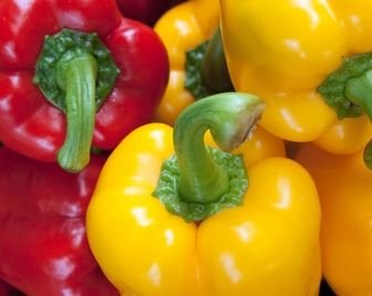Россияне стали чаще покупать эко-продукты