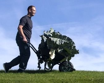 В Англии прошел конкурс гигантских овощей