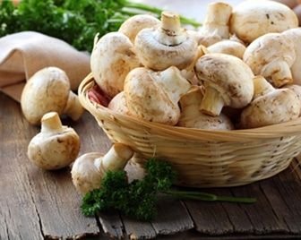 Американский стартап будет производить мясо из грибов