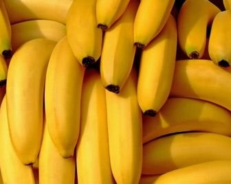 Изменение климата может стать причиной глобальной нехватки бананов