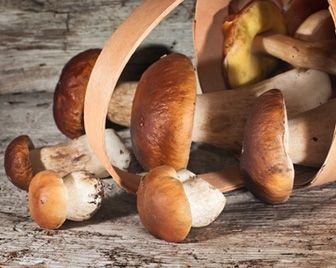 В Рязанской области прошел грибной фестиваль