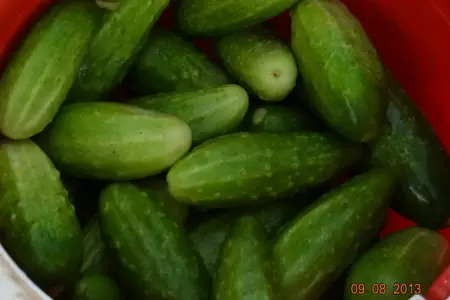 Фото: Огуречный салат с луком и чили (стерилизация - мультиварка): шаг 1